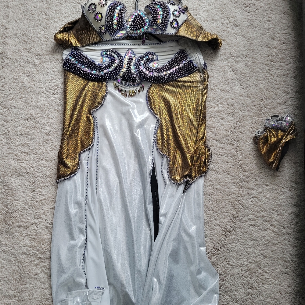 Proffesional bellydancing dress